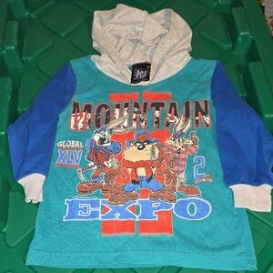 Taz Bugs Wiley Coyote Shirt 90s  Color Block Hooded Shirt Looney Tunes 3T